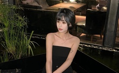 粉红色的火烈鸟图解